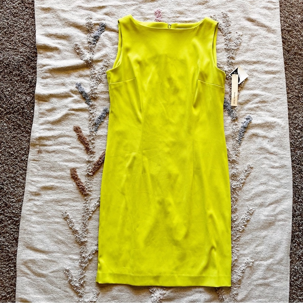 NEW Amanda Smith Vibrant Midi sheath shift Dress size 10 brat girl summer